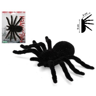 Araignée floquée noire