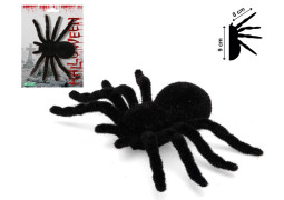 Araignée floquée noire