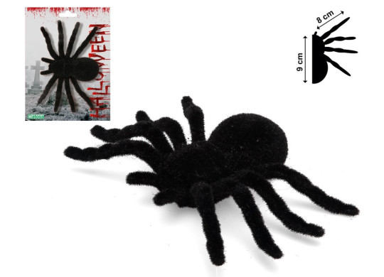Araignée floquée noire