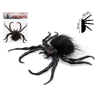 Araignée noire poilue