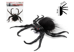 Araignée noire poilue