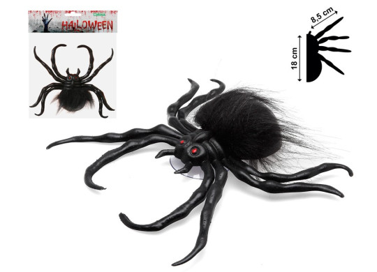 Araignée noire poilue