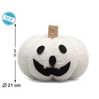 Citrouille bouclette blanche