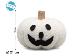 Citrouille bouclette blanche
