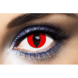 Lentilles de contact chat rouge