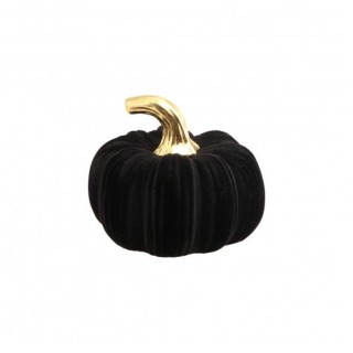 Citrouille floquée velours noir 11cms