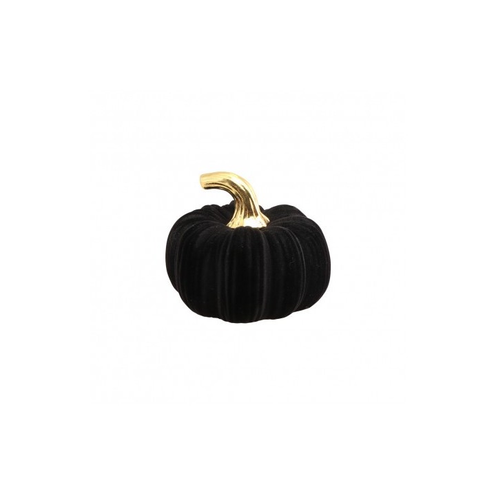 Citrouille floquée velours noir 11cms