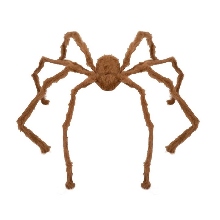 Araignée géante marron