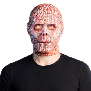 Masque adulte visage brulé
