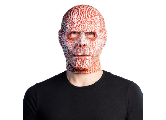 Masque adulte visage brulé