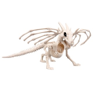 Squelette dragon