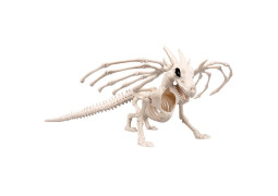 Squelette dragon