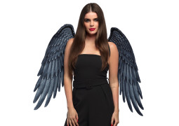 Ailes ange gris