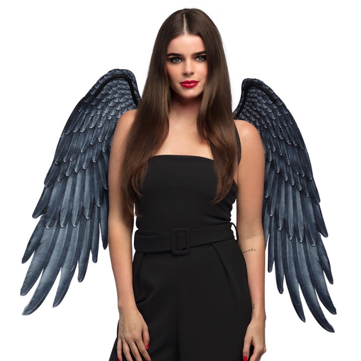 Ailes ange gris