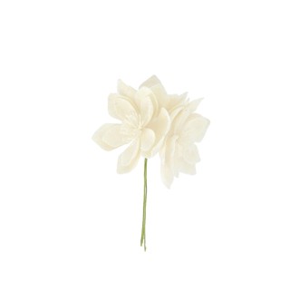 Magnolia velours blanc – décoration de table et intérieur