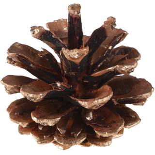 Pomme de pin paillettes or  5cms x12 - Décoration de Noël