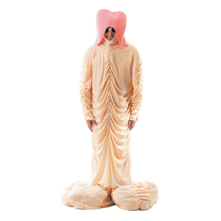 Costume adulte zizi - Déguisement humour