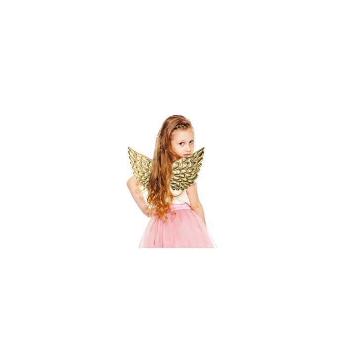 Ailes enfant fantastique or – Accessoire déguisement
