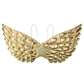 Ailes enfant fantastique or – Accessoire déguisement