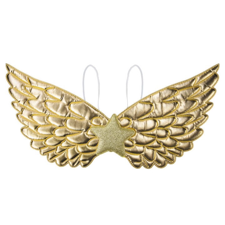 Ailes enfant fantastique or – Accessoire déguisement
