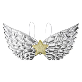 Ailes enfant fantastique argent – Accessoire déguisement