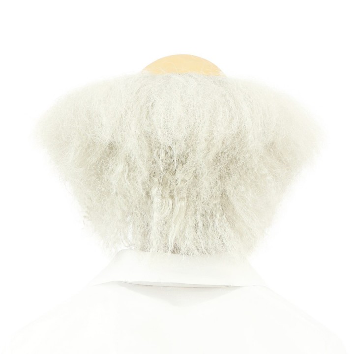 Perruque savant fou blanche – Accessoire déguisement