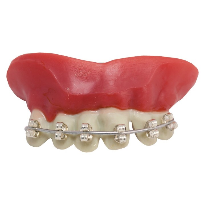 Dentier rigide appareil dentaire et pâtes - Accessoire comique