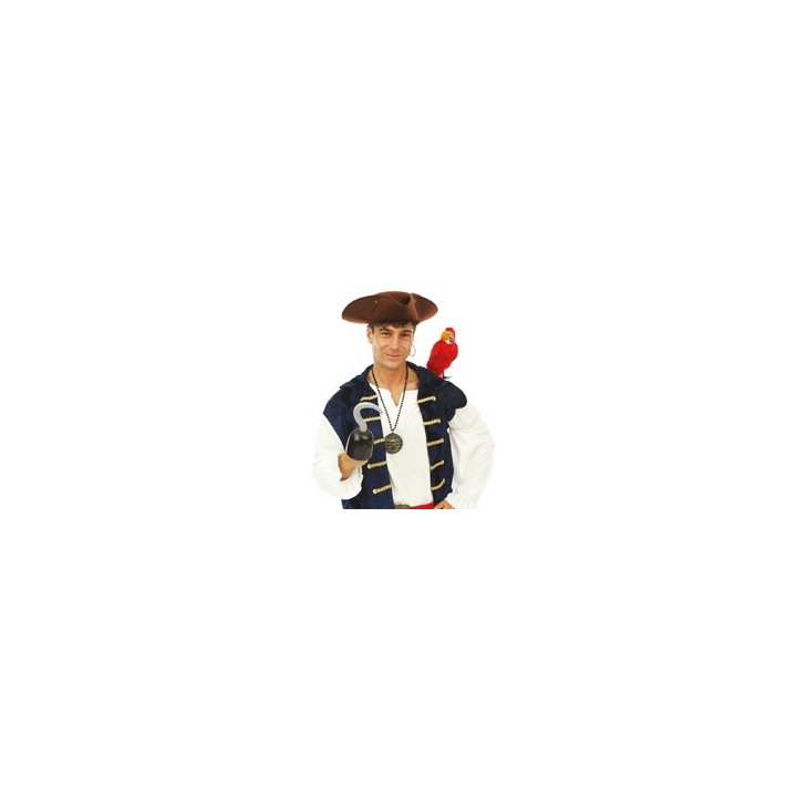 Crochet pirate en plastique - Accessoire déguisement