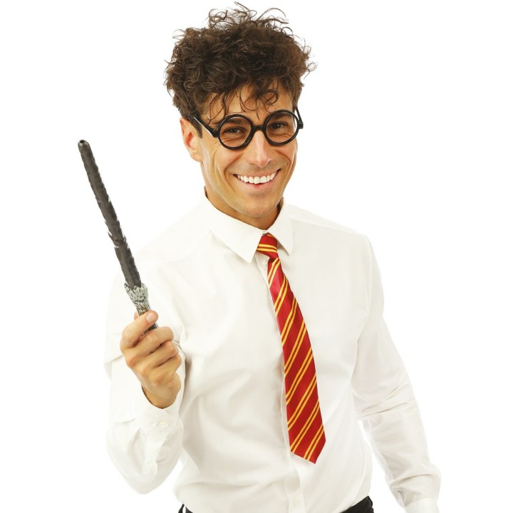 Set de sorcier lunettes cravate baguette - Accessoire déguisement