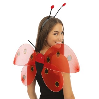 Ailes coccinelle - Accessoire déguisement
