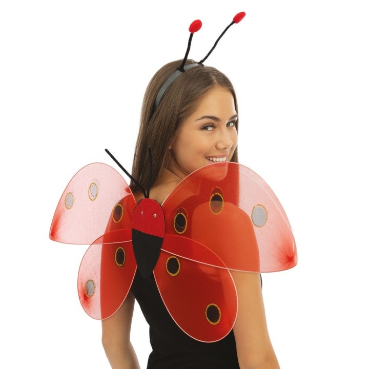 Ailes coccinelle - Accessoire déguisement