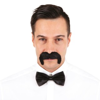 Moustache 1900 Noire - Accessoire déguisement