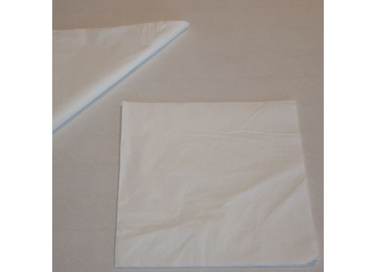 Serviettes papier blanches