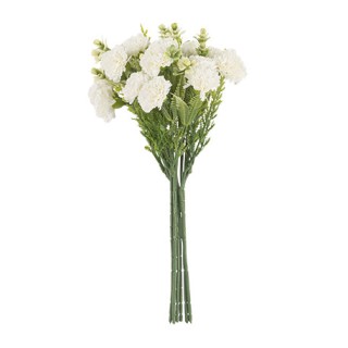 Bouquet 16 Œillets Blanc Pâle et Feuillage 30 cm - Décoration Florale