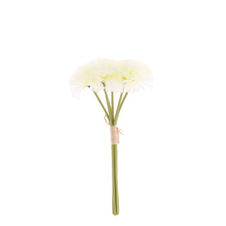 Bouquet 6 Œillets Blancs 32 cm – Décoration Florale