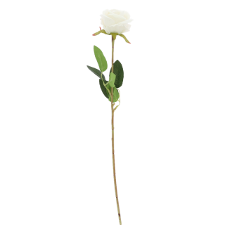 Branche Rose Blanche Effet Velours 70 cm – Décoration Florale