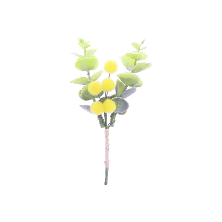 Branche Mimosa Eucalyptus 12 cm – Décoration Florale