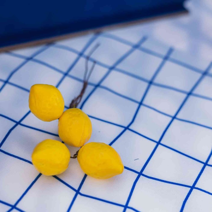 Bouquet 9 Citrons Jaunes 11 cm – Décoration Florale