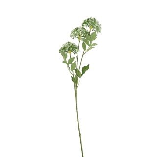 Branche Fleurs de Sureau Vert et Blanc 76 cm – Décoration Florale