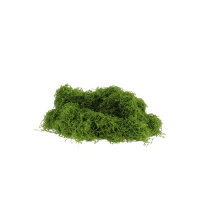 Mousse Végétale synthétique 100 g – Support Compositions Florales
