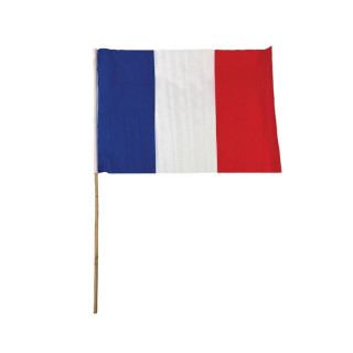 Drapeau France hampe bois 75 cm - Supporter Coupe du Monde foot