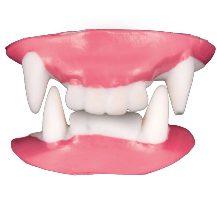 Dentier vampire haut et bas - Accessoire déguisement Halloween
