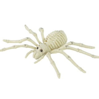 Squelette araignée 24 cm - Décoration Halloween
