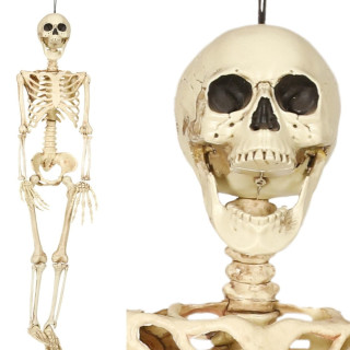 Squelette en plastique - Décoration Halloween