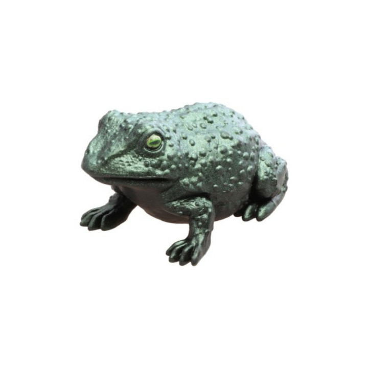 Crapaud vert irisé décoratif - Décoration Halloween