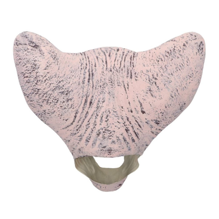 Masque chat de l'horreur en latex - Accessoire de déguisement
