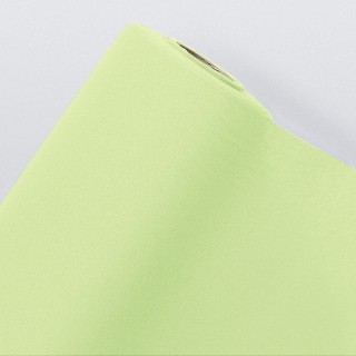 Nappe intissée menthe