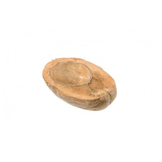 Demie noix de coco naturelle 18cm - Tropical party