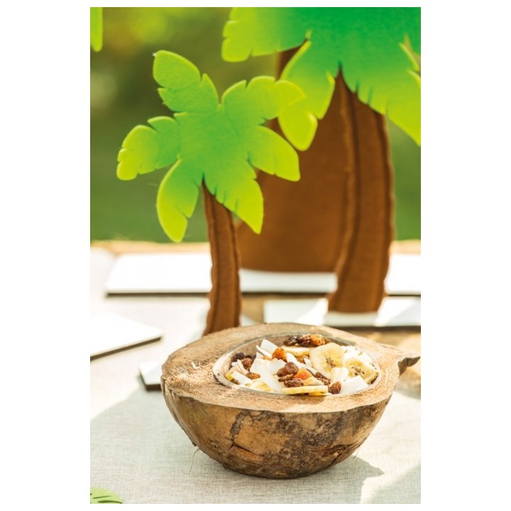 Demie noix de coco naturelle 18cm - Tropical party