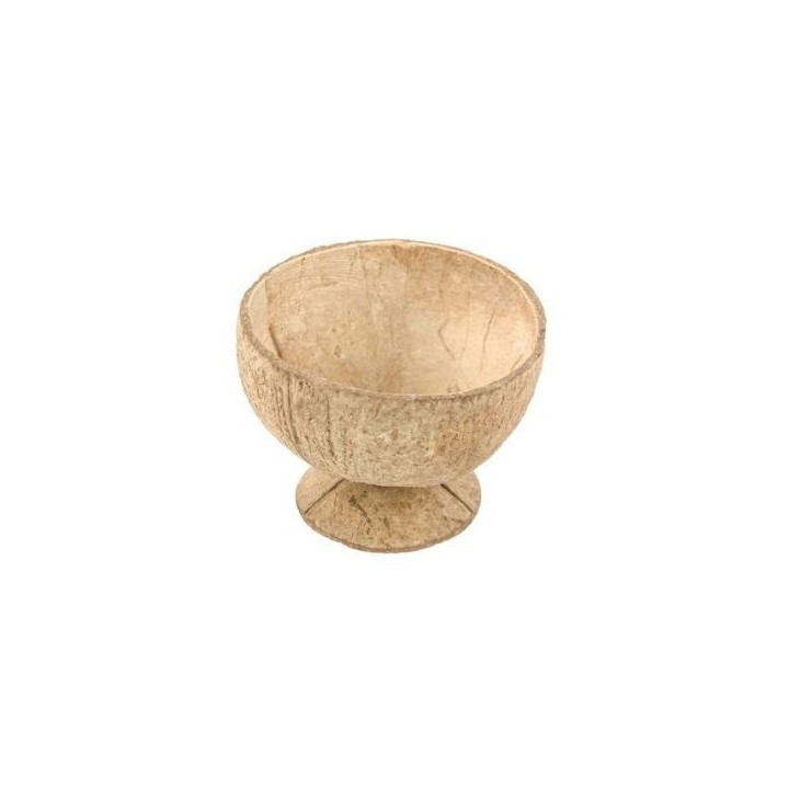 Coupe noix de coco 10cm  - Tropical party